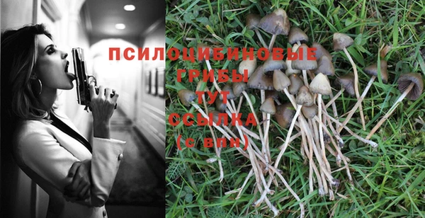 спайс Елабуга