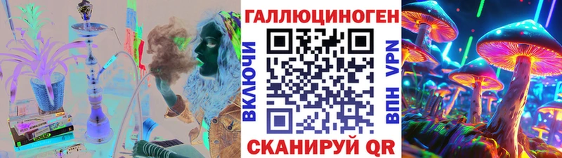 Галлюциногенные грибы Psilocybe  Купить закладки  Темников 